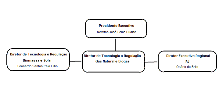 Diretoria COGEN-SP