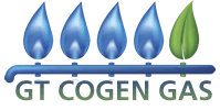 GT Cogen Gas